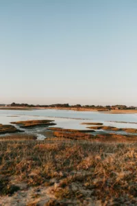 seance photo les pieds dans le sable en famille maman enceinte dans le morbihan